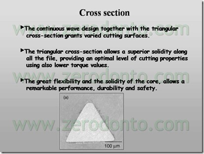cross section