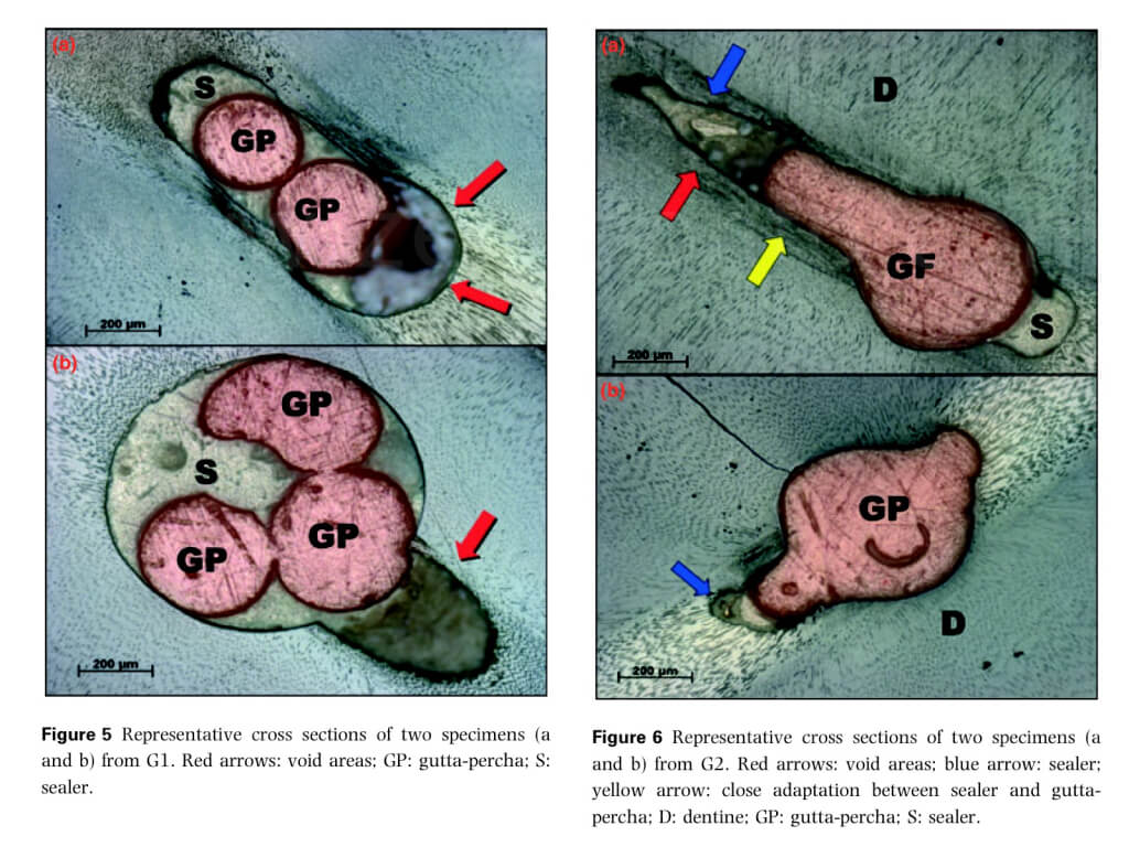 Adapted from DeDeus et Al.