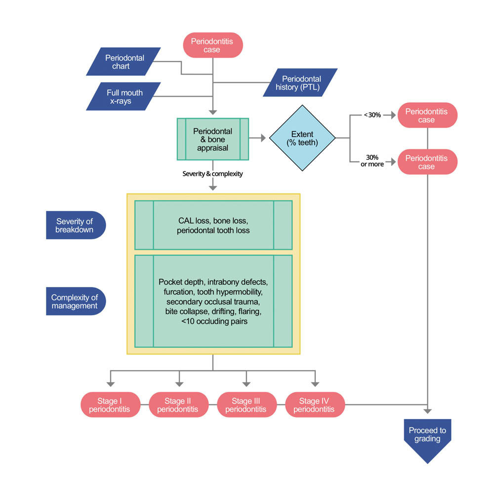 Periodontitis clinical decision tree