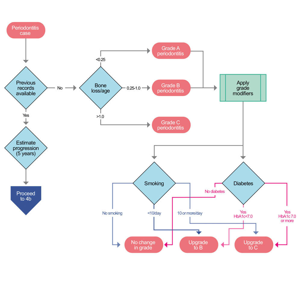 Periodontitis clinical decision tree